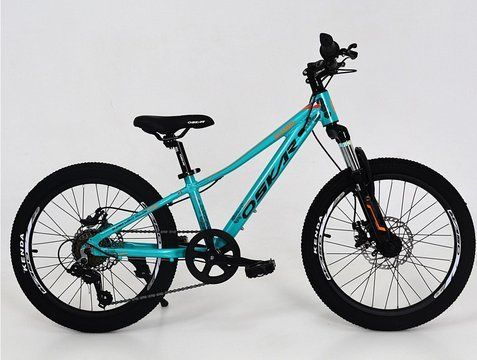 20" STARRY Бірюзовий 20-STARRY-GN фото