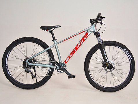 29" RANGER 2.0 Сірий матовий 29-RANGER-2-GR фото