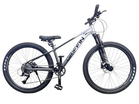 26" Велосипед Griffin Turbo Pro XS 13" сіро-сріблястий 26-GRIFFIN-TURBO-PRO-13-GY-SL фото